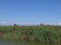 Delta Dunarii vazuta de la Gura Portitei